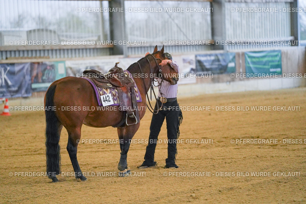 DSC09456 | Pferdegrafie