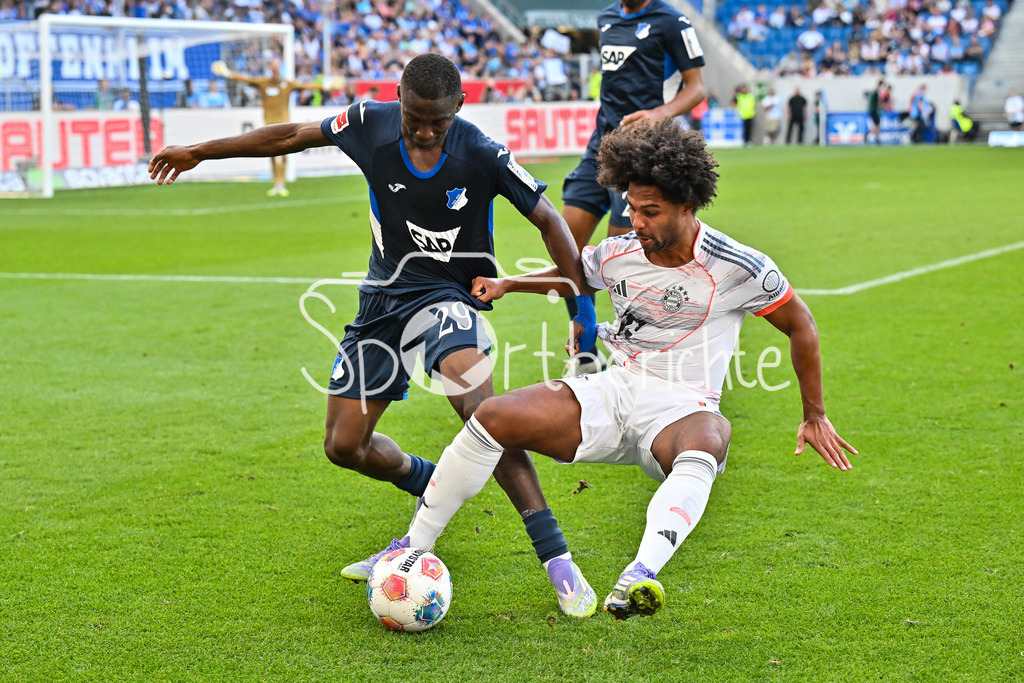 TSG 1899 Hoffenheim - FC Bayern München | im Duell Bazoumana TOURE (TSG Hoffenheim 29) und Serge GNABRY (FC Bayern Muenchen 7) / Zweikampf / Bundesliga: TSG 1899 Hoffenheim - FC Bayern München; PreZero-Arena am 20.09.2025 / DFL REGULATIONS PROHIBIT ANY USE OF PHOTOGRAPHS AS IMAGE SEQUENCES AND/OR QUASI-VIDEO