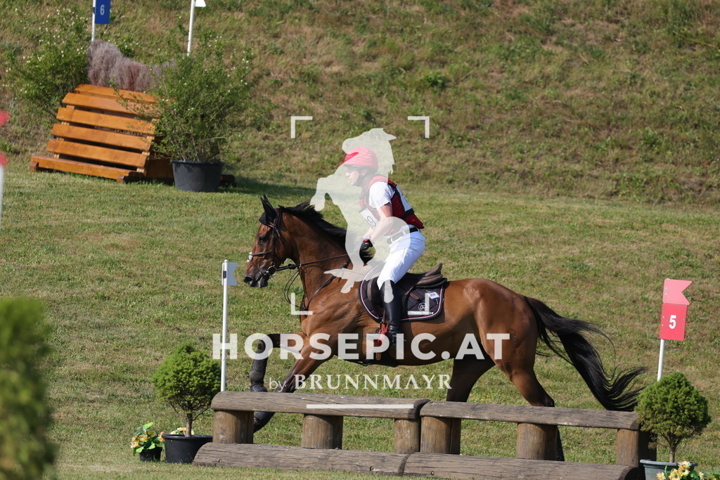 0P6A9272 | Willkommen bei Brunnmayr - Design & Fotografie – Ihrem Spezialisten für Reitturniere und Pferdeveranstaltungen in Oberösterreich, Salzburg und Bayern! Seit über 17 Jahren sind wir leidenschaftlich dabei.