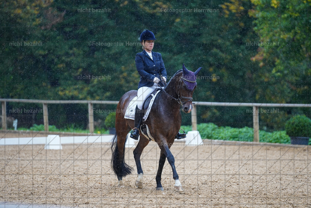 20221008-FAH02043 | Diessen am Ammersee, 2022, Dressur- und Springturnier, Reitsportbilder, Turnierfotografen Bayern, Pferdefotografen, Fotoagentur Herrmann, Turnierbilder