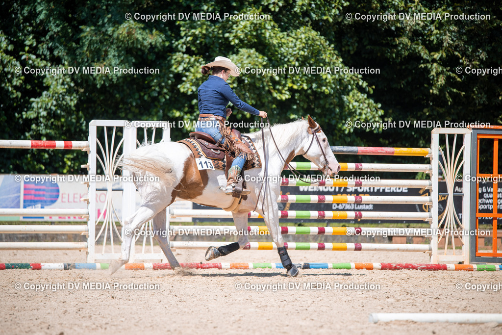 ZS1_1391 | dv-media-shop - Realisiert mit Pictrs.com