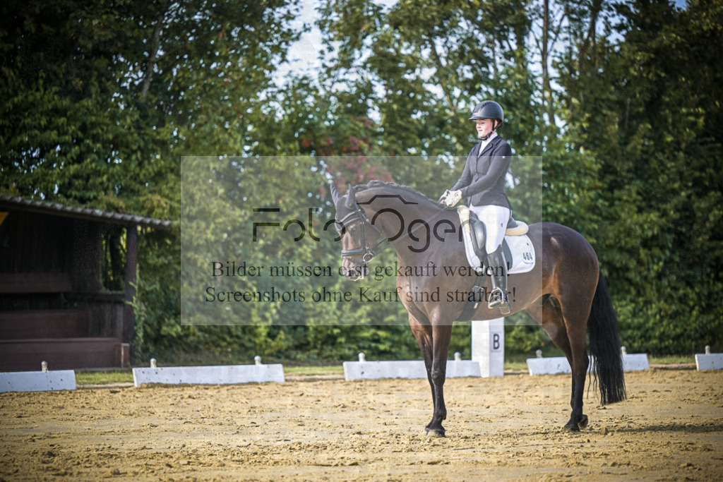 DOS_8569 | Entdecke hochwertige Reitturnierfotos von Foto Oger. Professionell, emotional und authentisch – jetzt Lieblingsmomente im Shop bestellen.Deutschlandweite Turnierfotografie. - Realisiert mit Pictrs.com