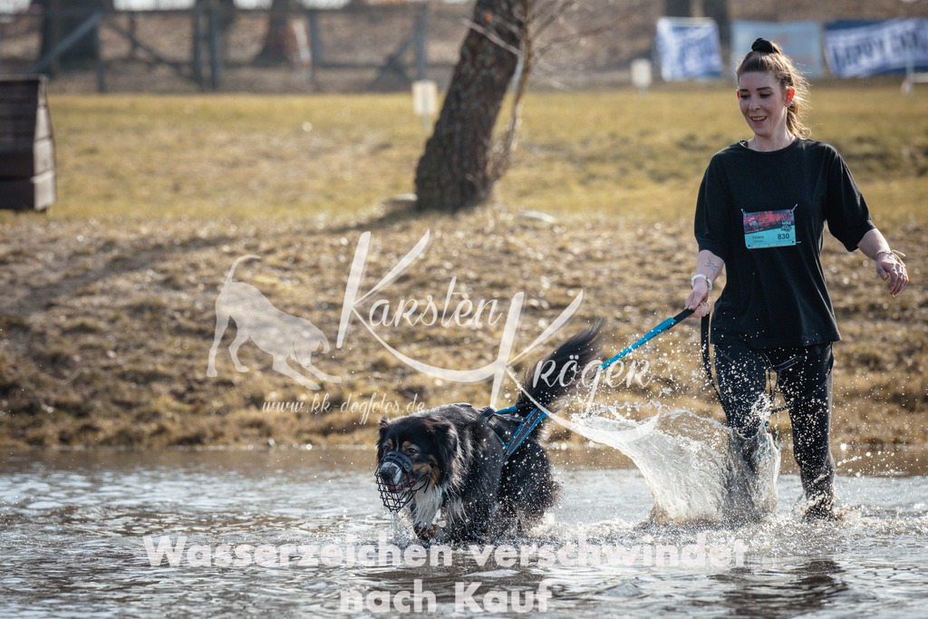 1133_ZZ95523 | kk-dogfotos