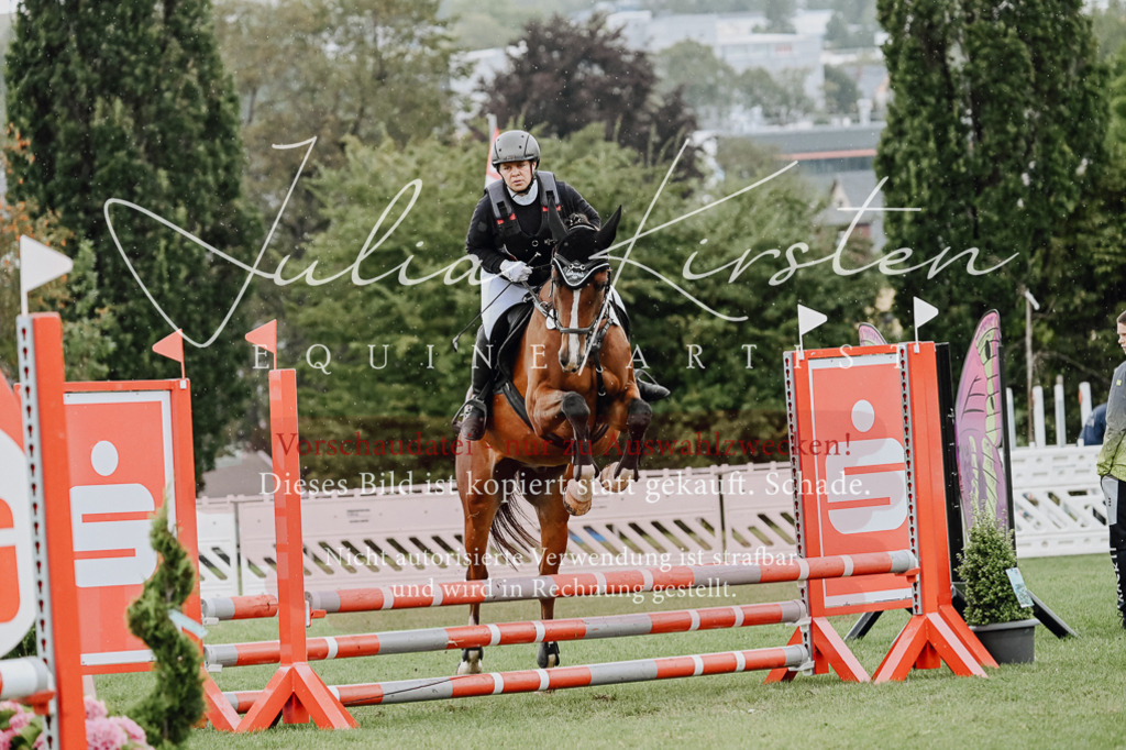 DSC_6904 | Pferde- und Turnierfotografie in Westsachsen. Pferdeportraits, Auftragszeichnungen und intuitive Kunst.