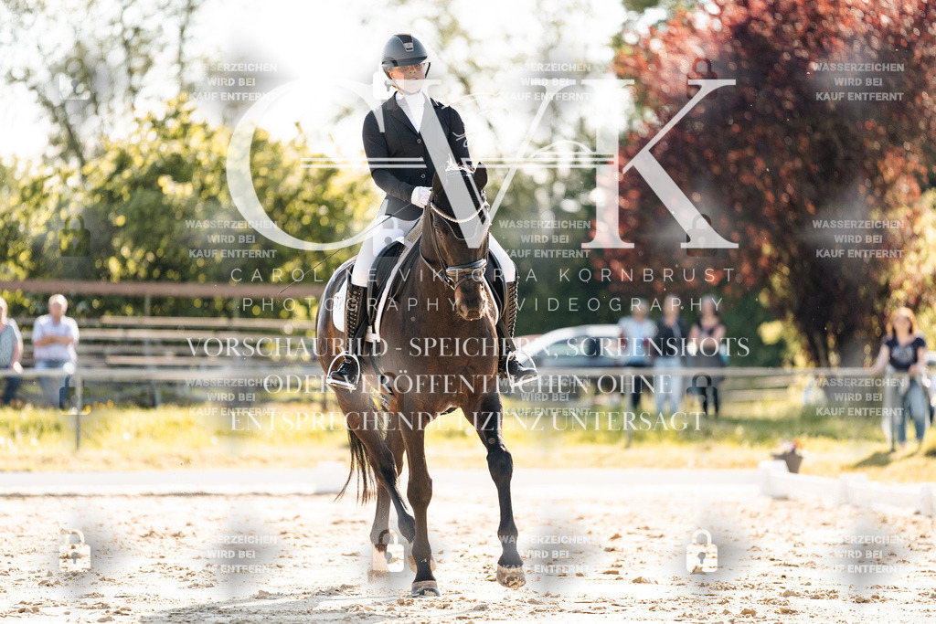 CK909923 | Turnierfotografie Pferdefotografie Trier Rheinland-Pfalz Pferdesport Reitsport Tierfotografie Sportfotografie Pferdevideo Pferdevideografie Equestrianvideography equestrianphotography  - Realisiert mit Pictrs.com