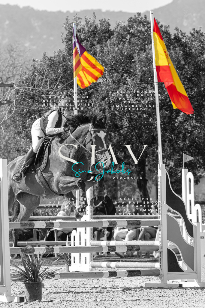 IMG_0560 | s-jay-photography - Realisiert mit Pictrs.com