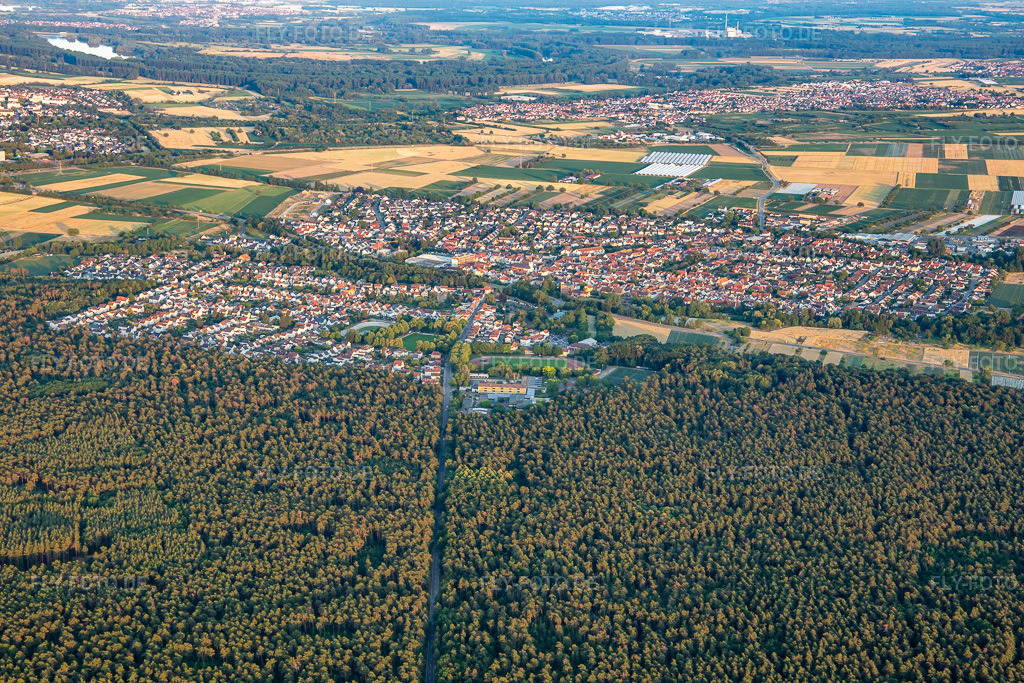 Luftbild: Iggelheimer Straße durch den Wald in Dudenhofen im Bundesland Rheinland-Pfalz in Deutschland. Foto: IMG_137246.jpg vom 24.06.2023 durch Werner Riehm/FLY-FOTO.de