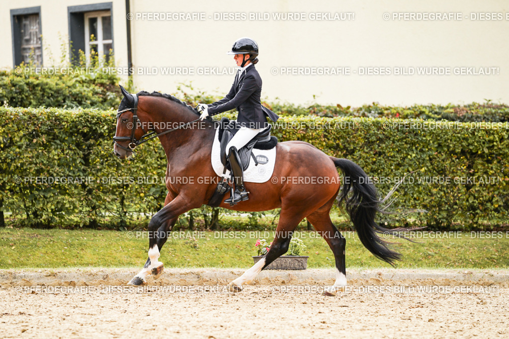 DSC03055 | Pferdegrafie