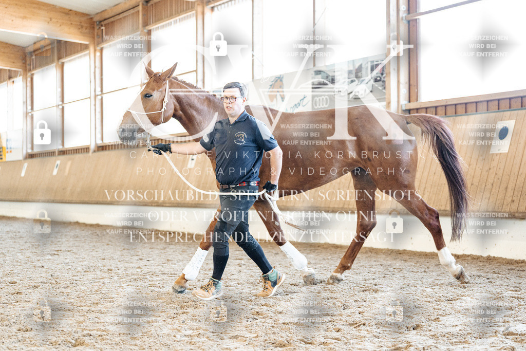 CK906663 | Turnierfotografie Pferdefotografie Trier Rheinland-Pfalz Pferdesport Reitsport Tierfotografie Sportfotografie Pferdevideo Pferdevideografie Equestrianvideography equestrianphotography  - Realisiert mit Pictrs.com