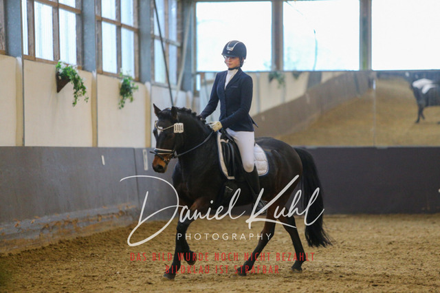 IMG_7544 | Turniersportfotografie; Pferdefotografie; Dressurfotografie