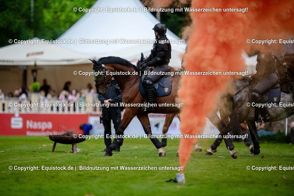 20250606_Lange-Pferdenacht_0749 | Foto: Thomas Hartig