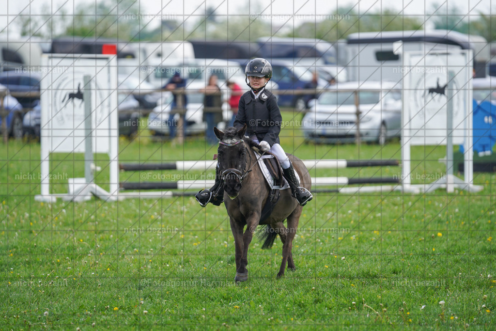 20240509-FAH02270 | Turnierbilder der Turnierfotografen Bayern, Pferdesport Fotografie, Reitsportbilder, Turnier Landberg am Lech, Turnierbilder bayern, Fotoagentur Herrmann