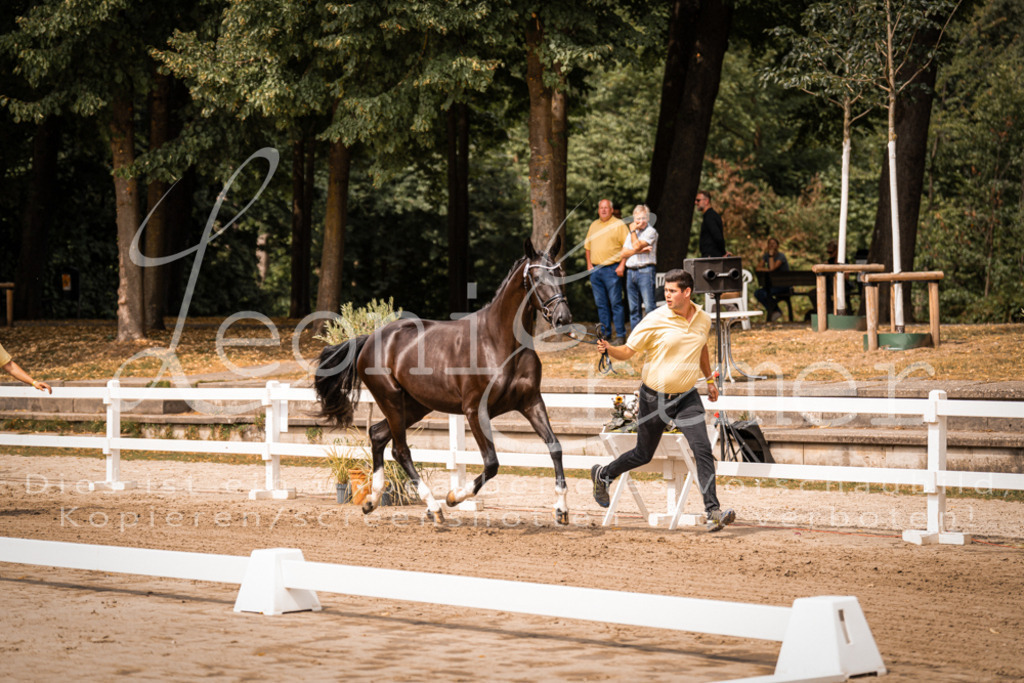 4.Fr00175 | Leoni Ertmer Photography - Realisiert mit Pictrs.com