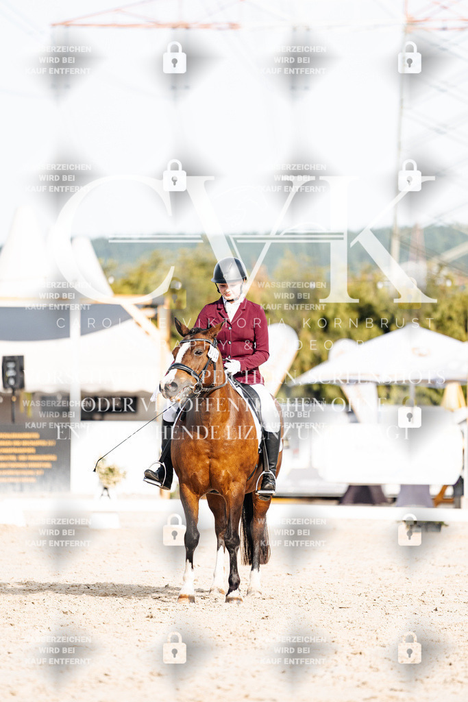 CK904980 | Turnierfotografie Pferdefotografie Trier Rheinland-Pfalz Pferdesport Reitsport Tierfotografie Sportfotografie Pferdevideo Pferdevideografie Equestrianvideography equestrianphotography  - Realisiert mit Pictrs.com