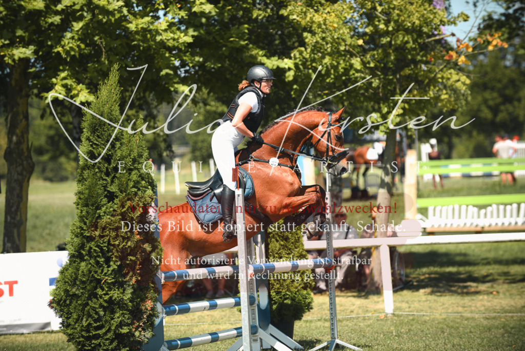 DSC_6606 | Pferde- und Turnierfotografie in Westsachsen. Pferdeportraits, Auftragszeichnungen und intuitive Kunst.