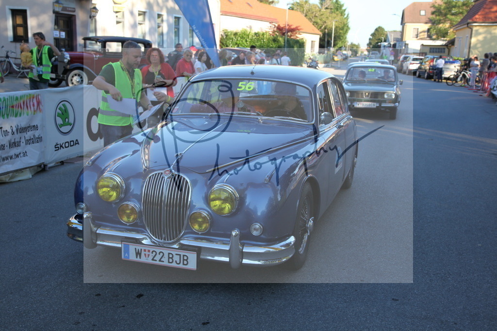 IMG_5391 | Gerhard Witt