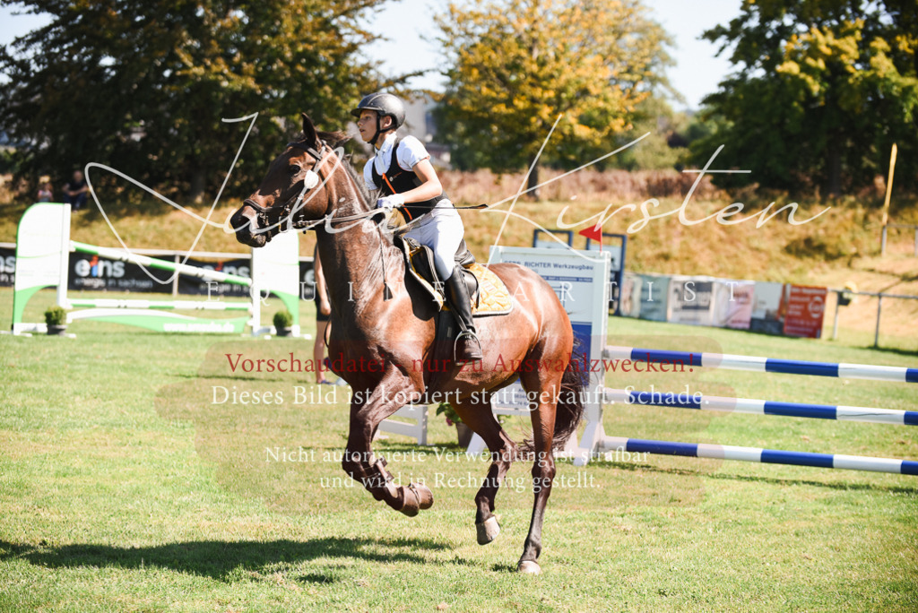 DSC_2769 | Pferde- und Turnierfotografie in Westsachsen. Pferdeportraits, Auftragszeichnungen und intuitive Kunst.