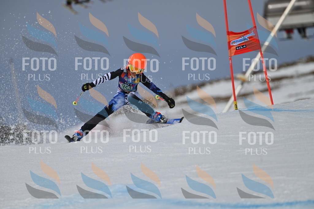 BGV_6916 | holidayphoto