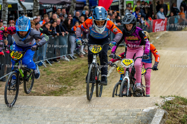 BayBMX2026-05741 | Fotogalerie von Thomas Dettweiler mit Eventbildern und lizenzfreien Fotos. Perfekt als Wandbild, für Büro, Website oder private Nutzung. - Realisiert mit Pictrs.com
