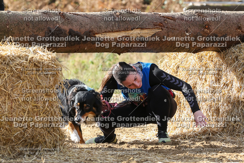 Dog Paparazzi - Strongdog 10-25-5573 | Dog Paparazzi Jeanette Grottendiek Fotografie & Videografie - Realisiert mit Pictrs.com