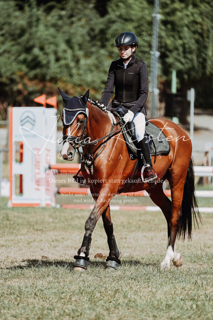 DSC_9783 | Pferde- und Turnierfotografie in Westsachsen. Pferdeportraits, Auftragszeichnungen und intuitive Kunst.