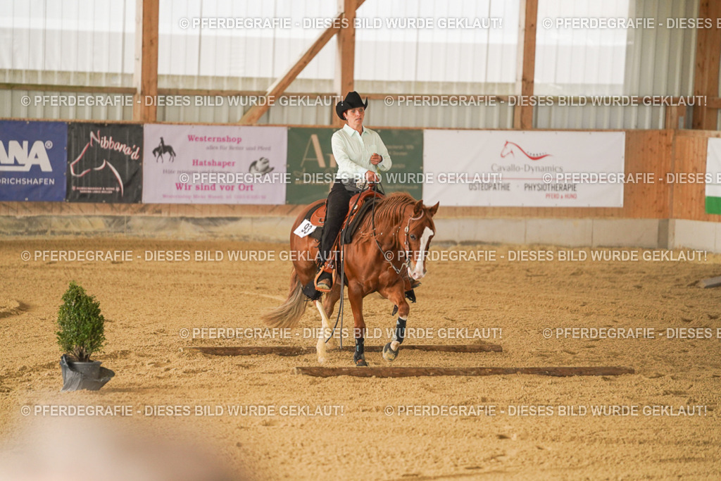 DSC03392 | Pferdegrafie