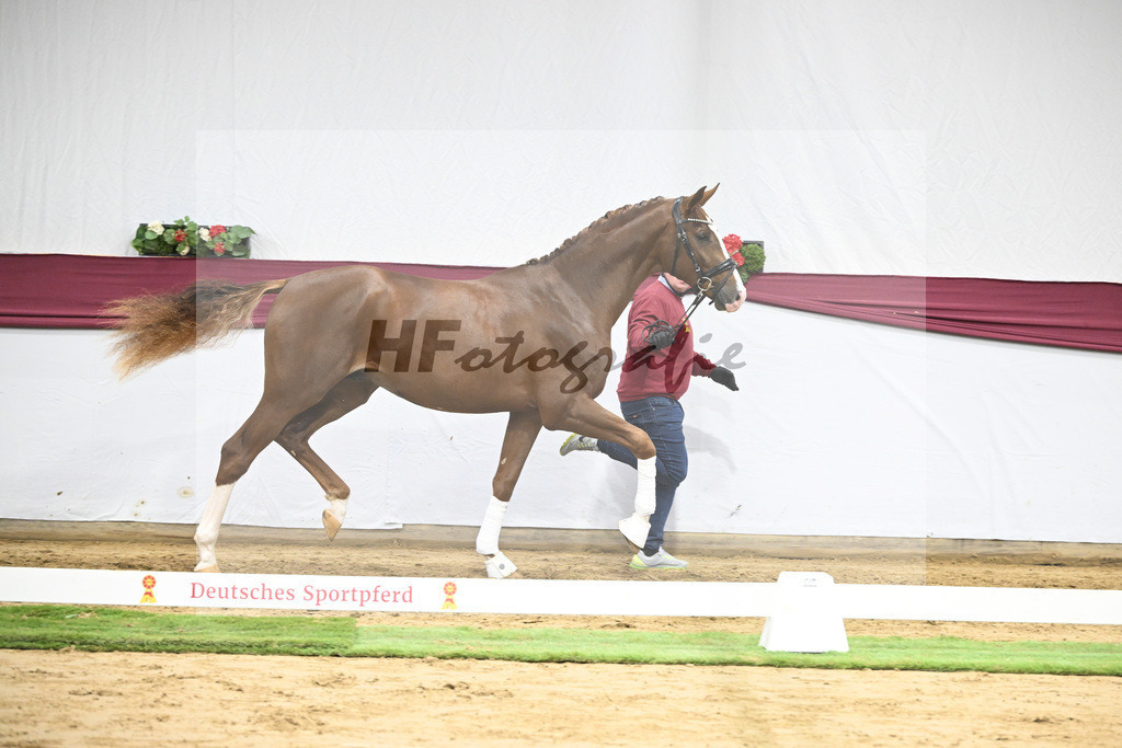 Kat-Nr. 54 Bonds x Zoom_Matthias Schlamminger GmbH_47252016 | hf-fotografie - Realisiert mit Pictrs.com