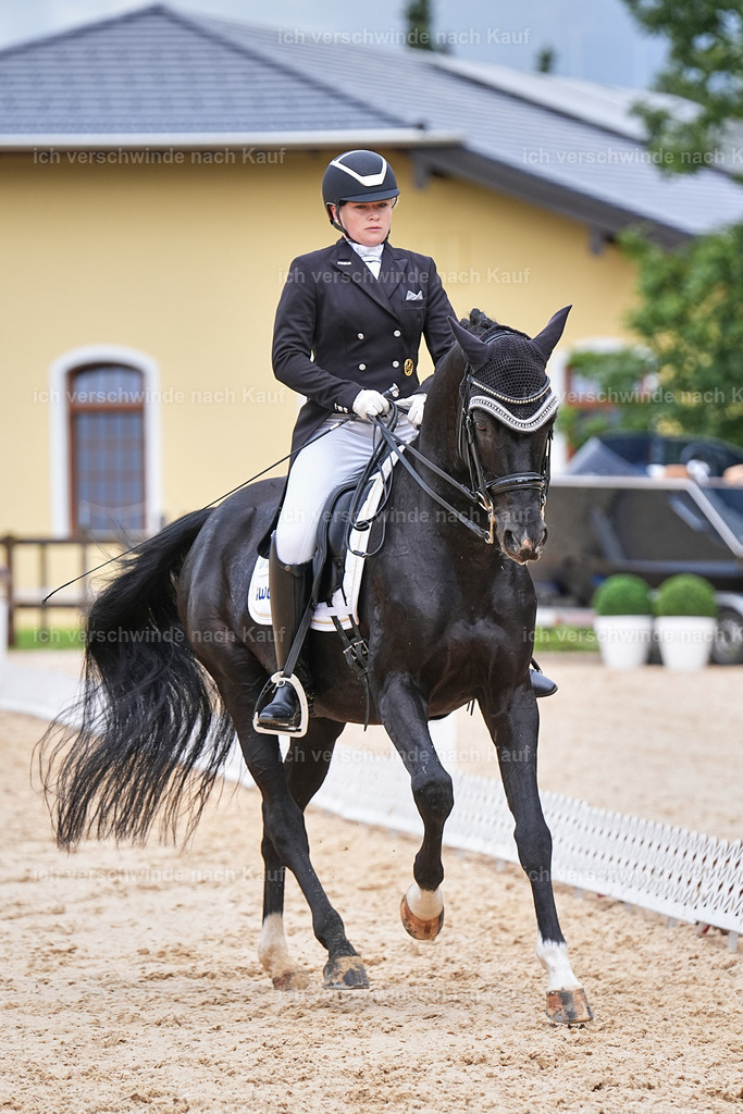 07-093-DRESSUR  S___  -Marixx-5142 | working equitationturnier fotograf videograf stoibphotography marixx film working equitation deutschland reitsport turnierfotografie eventfotografie equestrian events