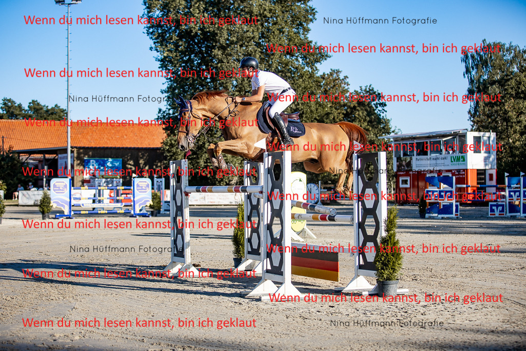 BK1A8386 | Turnierbilder Turnierfotos Nina Hüffmann Turnierfotografie Pferdefotografie Tierzeichnung Haustierzeichnung Pferdezeichnung Hundezeichnung Videograf  - Realisiert mit Pictrs.com
