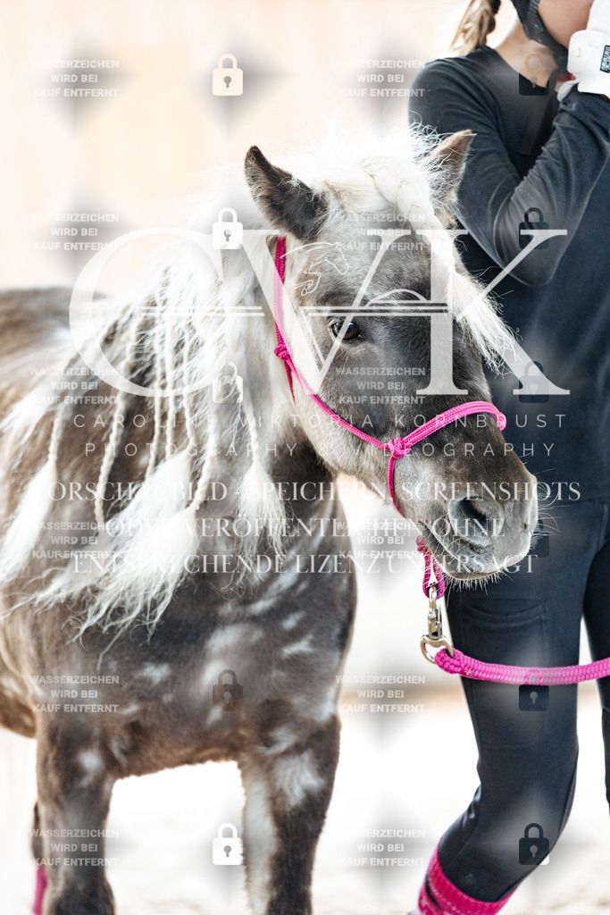 CK907043 | Turnierfotografie Pferdefotografie Trier Rheinland-Pfalz Pferdesport Reitsport Tierfotografie Sportfotografie Pferdevideo Pferdevideografie Equestrianvideography equestrianphotography  - Realisiert mit Pictrs.com