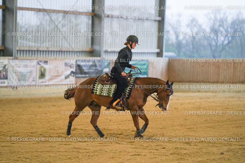 DSC09534 | Pferdegrafie