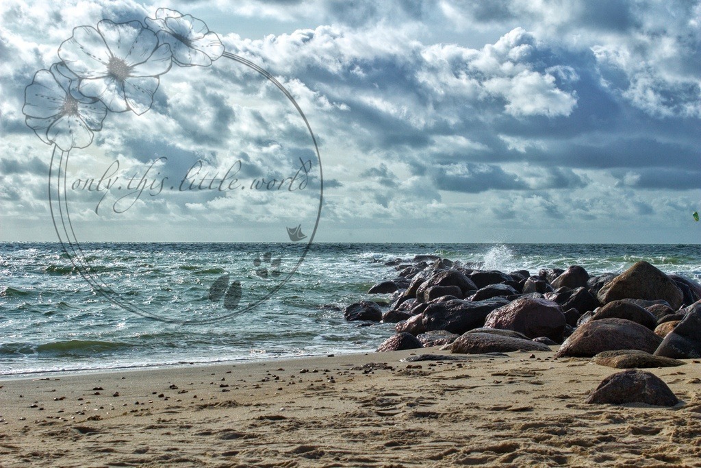 IMG_8035-02 | only.this.little.world - Realisiert mit Pictrs.com