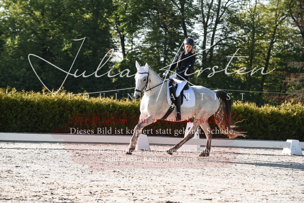 20230518_JK-Röhrsdorf-09-0201 | Pferde- und Turnierfotografie in Westsachsen. Pferdeportraits, Auftragszeichnungen und intuitive Kunst.