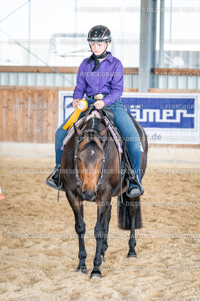 DSC09650 | Pferdegrafie