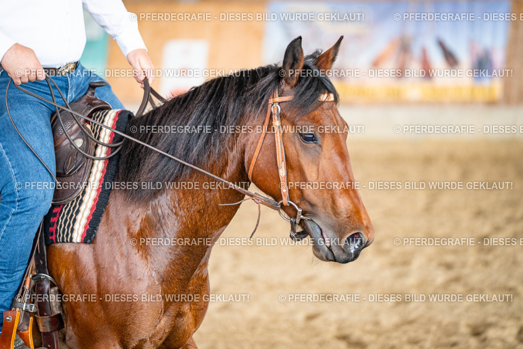 DSC08263 | Pferdegrafie