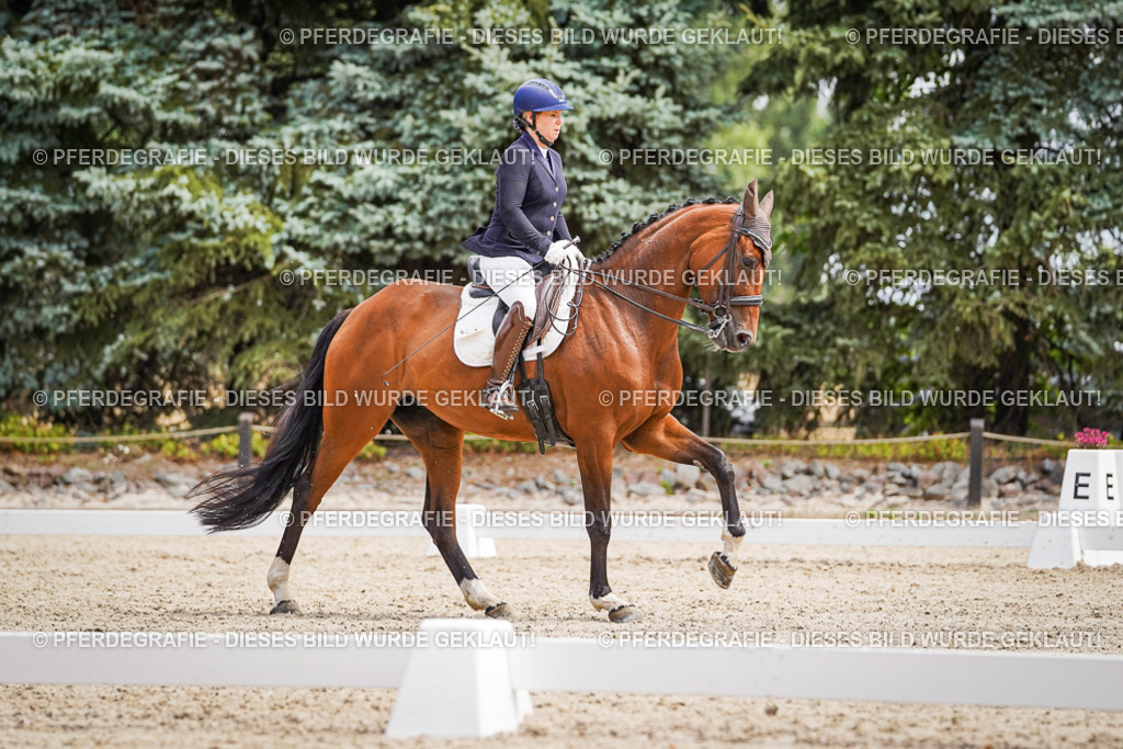 DSC03287 | Pferdegrafie