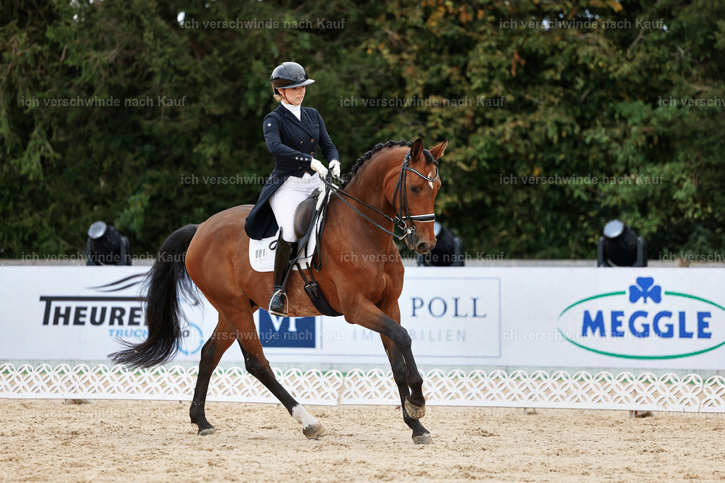 6-001-AMATUER-DRESSUR S_  -StoibPH-3543 | working equitationturnier fotograf videograf stoibphotography marixx film working equitation deutschland reitsport turnierfotografie eventfotografie equestrian events
