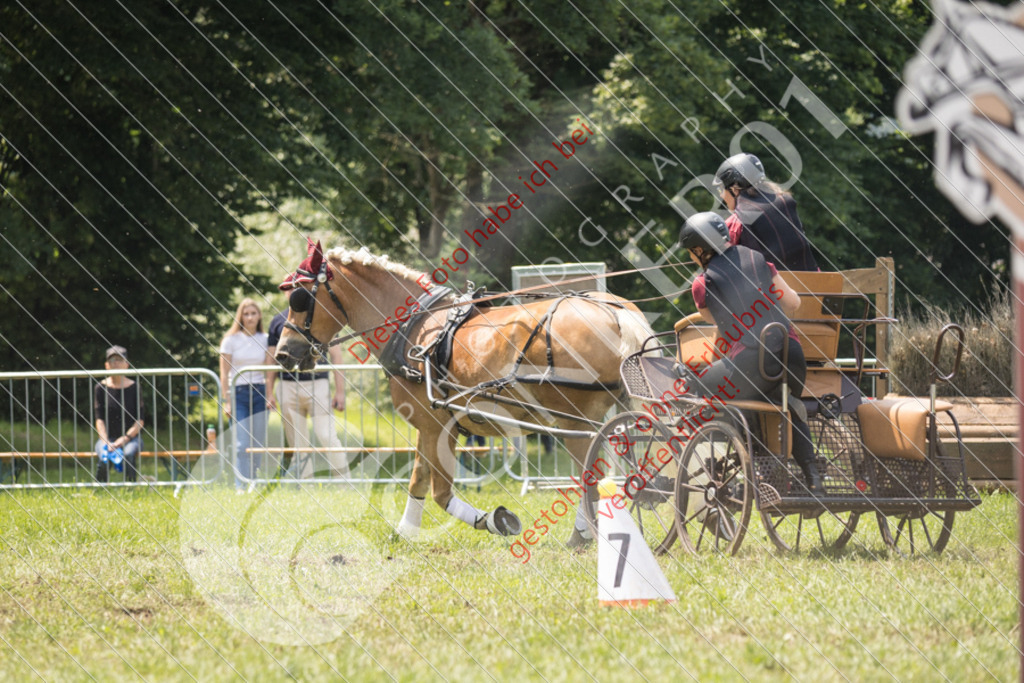 IMG_8518 | Sport-, Event- und Tierfotos in Profiqualität. Einfach auswählen, bestellen und herunterladen. Dein Moment – perfekt festgehalten.