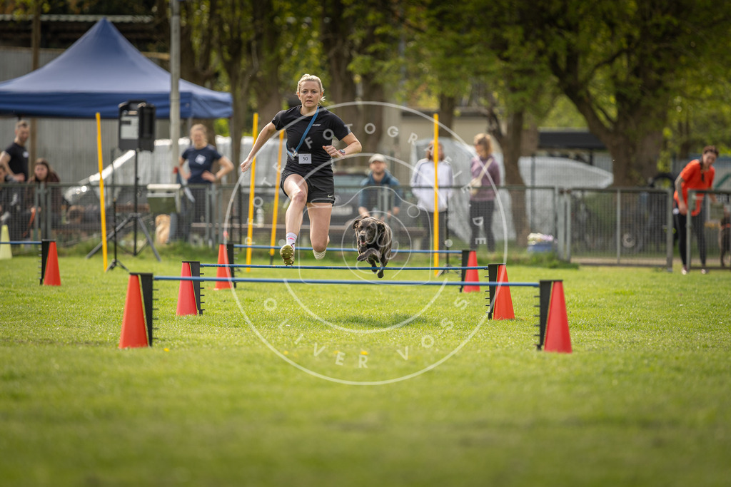 Pfotenfotografie_DV3A6077 | Hundefotografie, Tierfotograf, Pfotenfotografie, Fotoshooting Hund, Hunde Portrait, Hundesport, Hundeportraits, Heideshooting, Hunde, Sportfotograf, Hundefotograf, Turnierhundsport, THS,  - Realisiert mit Pictrs.com