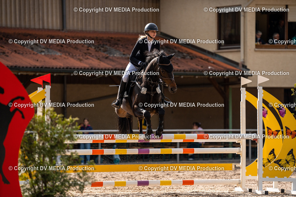 Eppelheim Tag 1-533 | dv-media-shop - Realisiert mit Pictrs.com