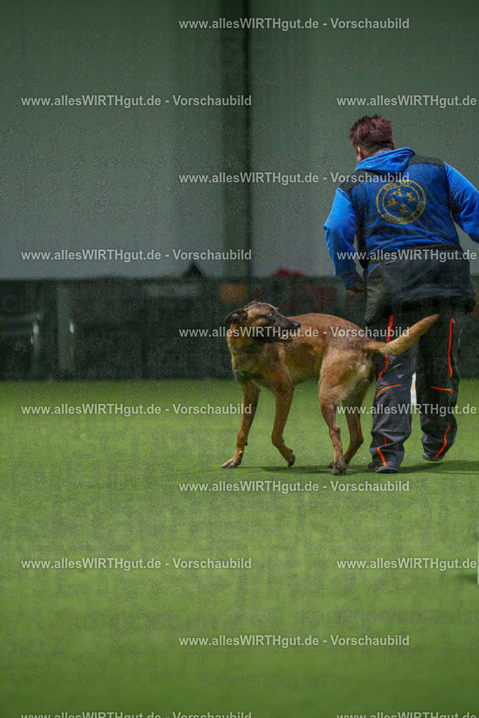 7R507468 | Professionelle Tierfotografie in Mönchengladbach von Daniel Wirth (allesWIRTHgut). Liebevolle & natürliche Bilder von Hunden & Katzen für unvergessliche Erinnerungen.