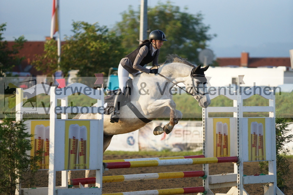 DSC02593 | equestrian-live-com