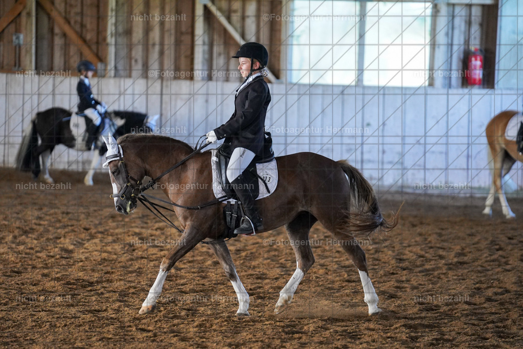 20230916-FAH08696 | Landsberg am Lech 2023, Turnierbildern, Turnierbilder Bayern, Reitsportfotograf, Pferdefotograf Bayern, Turnierfotos Landsberg, Fotoagentur Herrmann, Turnierfotografen Bayern