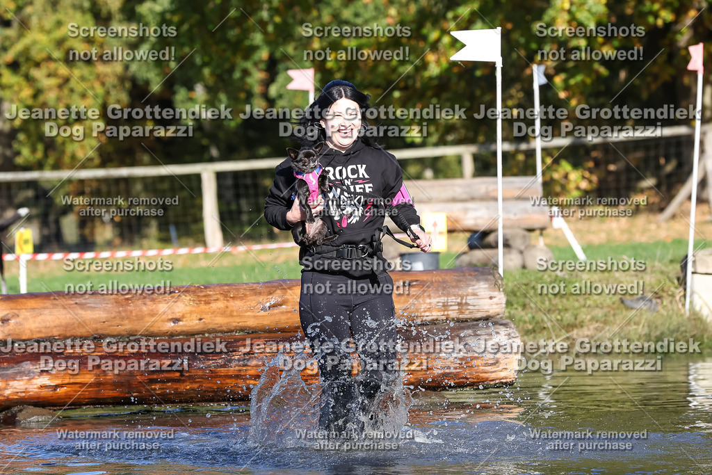 Dog Paparazzi - Strongdog 10-25-8765 | Dog Paparazzi Jeanette Grottendiek Fotografie & Videografie - Realisiert mit Pictrs.com