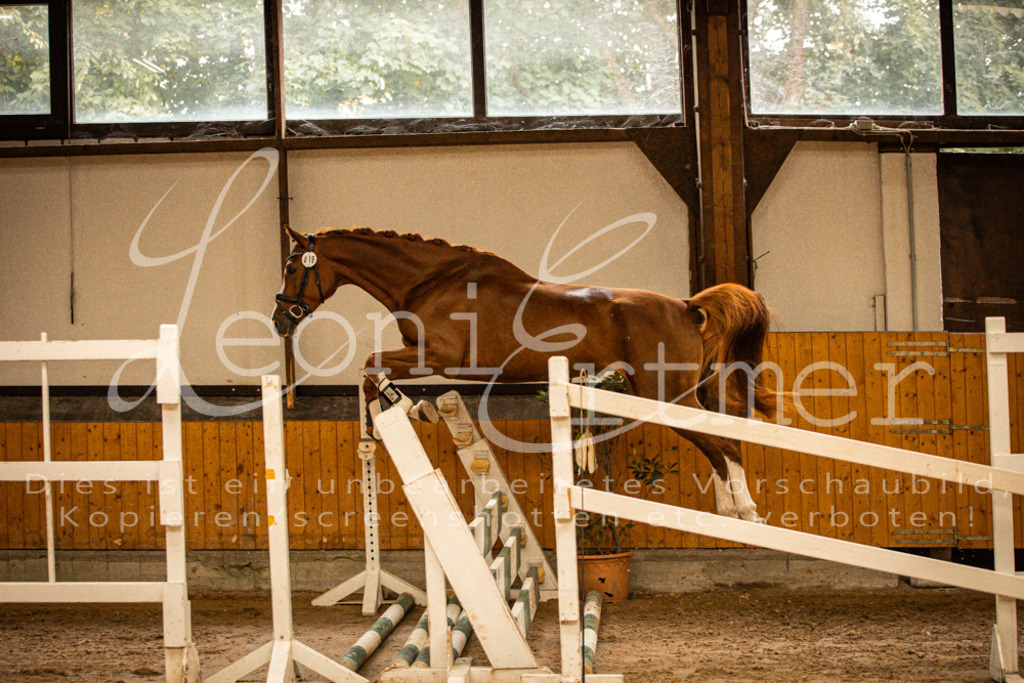 2FS_L00091 | Leoni Ertmer Photography - Realisiert mit Pictrs.com