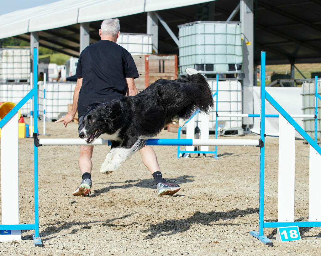 580B0107 | Peter Fridle Fotografie - Realisiert mit Pictrs.com
