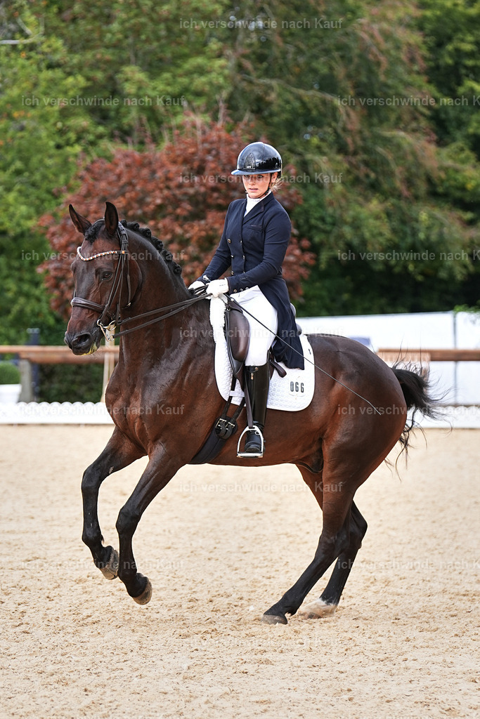 11-066-Dressur S___-Marixx-1652 | working equitationturnier fotograf videograf stoibphotography marixx film working equitation deutschland reitsport turnierfotografie eventfotografie equestrian events