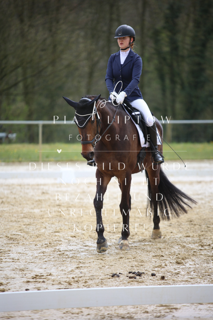 IMGT3038 | pl-fotografie