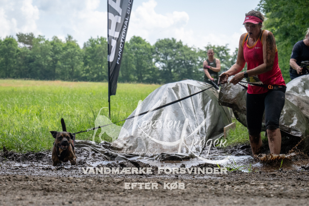 1127_ZZ92953 | kk-dogfotos