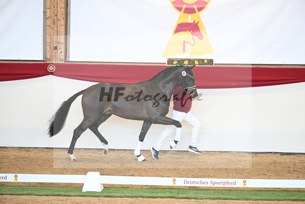 Kat.-Nr. 87 v. Vitalis_Berger _ Beckmann_2250945 | hf-fotografie - Realisiert mit Pictrs.com